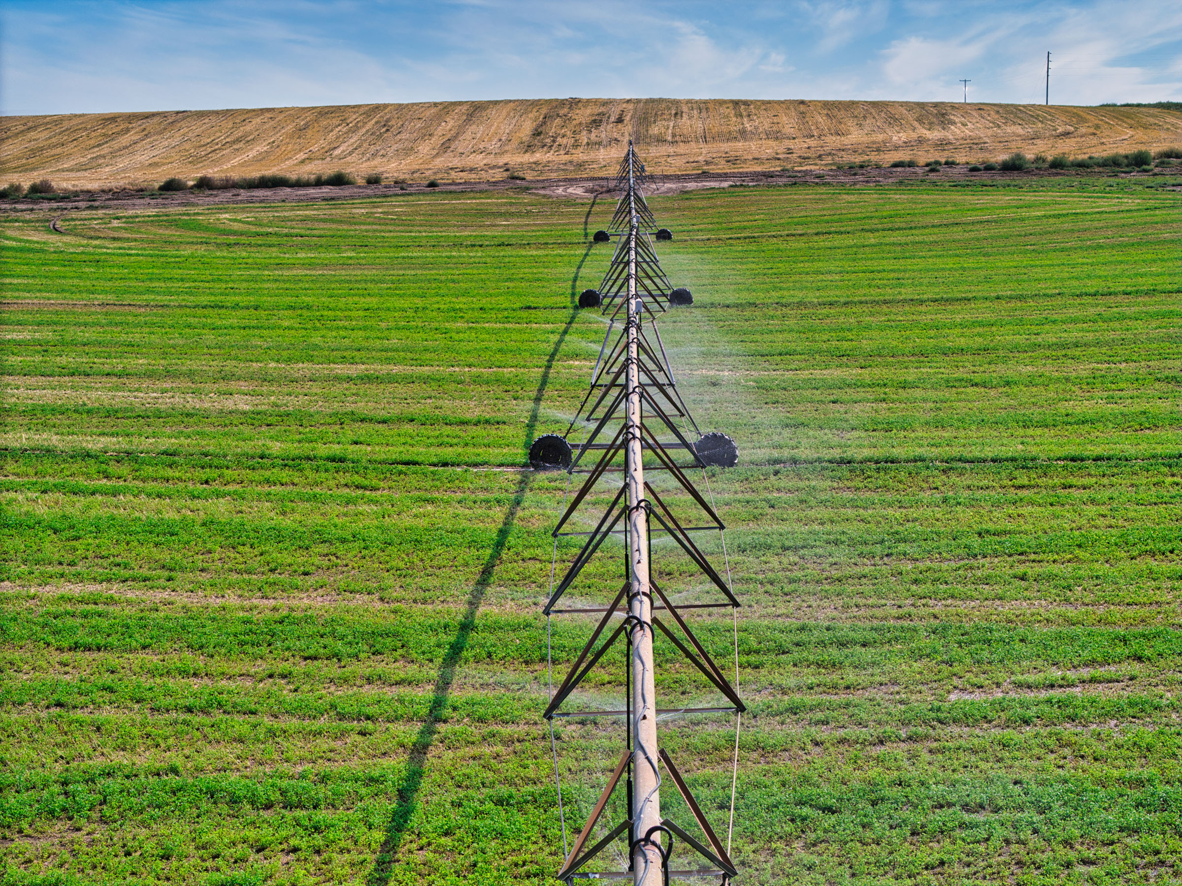 Irrigation pivot on lush green rangeland